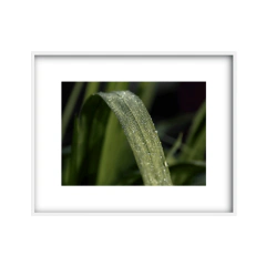 Rastro - 03 - comprar online