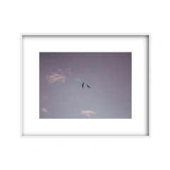Vuelo - I - comprar online