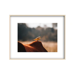 Equilibrio - Un Instante Fotografía 