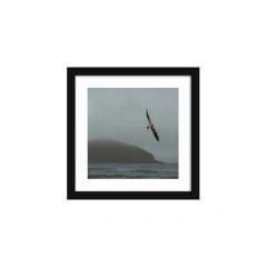 Canto de Sirenas - I en internet