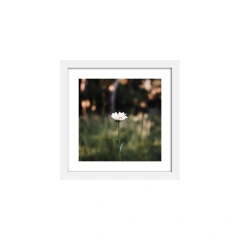 Tallo - comprar online