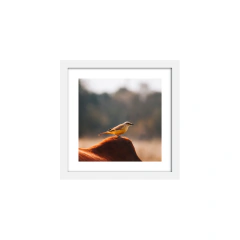 Equilibrio - comprar online