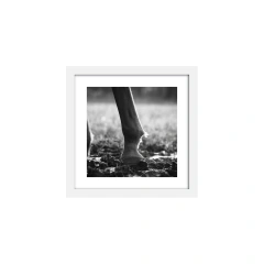 Pisada - comprar online