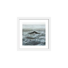 Ave de marea - comprar online