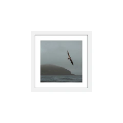 Canto de Sirenas - I - comprar online