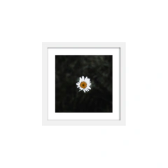 Centro - comprar online