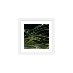 Rastro - 04 - comprar online
