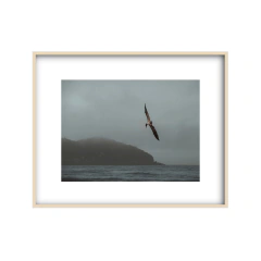 Canto de Sirenas - I - Un Instante Fotografía 