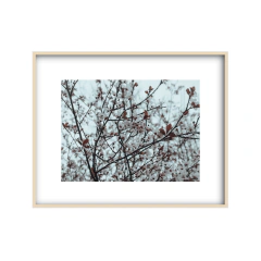 Brote - 03 - Un Instante Fotografía 