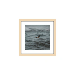 Donde llaman - II - Un Instante Fotografía 