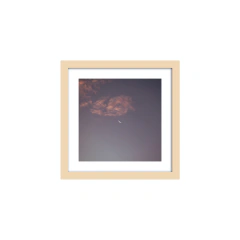 Aura- II - Un Instante Fotografía 