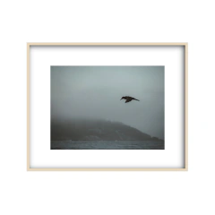 Canto de Sirenas - II - Un Instante Fotografía 