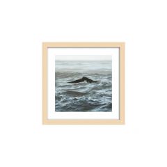Ave de marea - Un Instante Fotografía 