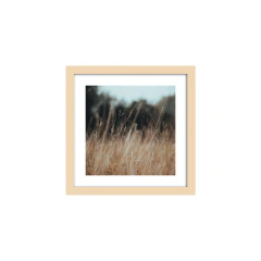 Bajo el viento - Un Instante Fotografía 