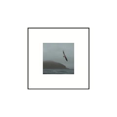 Imagen de Canto de Sirenas - I