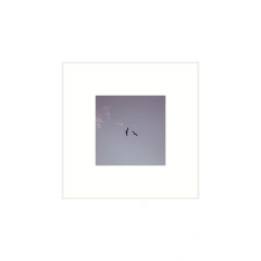 Vuelo - I - tienda online