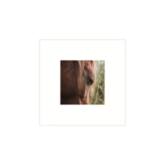 Origen - III - tienda online