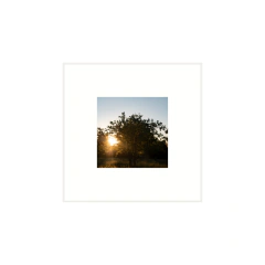 Instante - 01 - tienda online