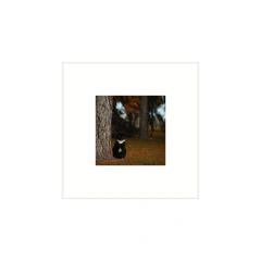 Permanencia - III - tienda online
