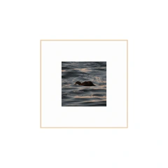 Entre dos mundos - I