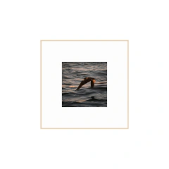 Entre dos mundos - II