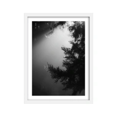 Penunmbra - edición fría - tienda online