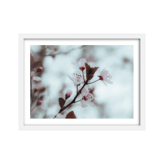 Brote - 01 - comprar online