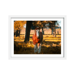 Otoño - comprar online