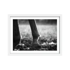 Pisada - comprar online