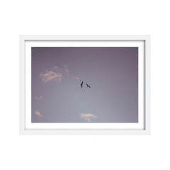 Vuelo - I - comprar online
