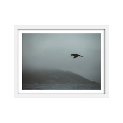 Canto de Sirenas - II - comprar online