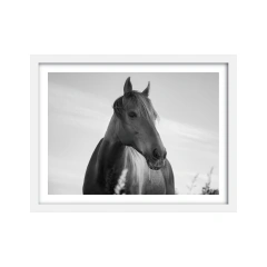 Alma - II edición blanco y negro - comprar online