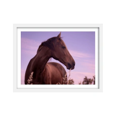 Alma - I edición artística - comprar online