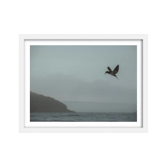 Canto de Sirenas - III - comprar online