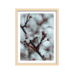 Brote - 02