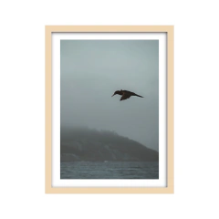 Canto de Sirenas - II