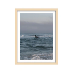Días de verano - 05