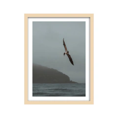 Canto de Sirenas - I