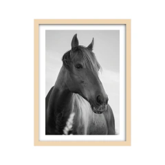 Alma - II edición blanco y negro
