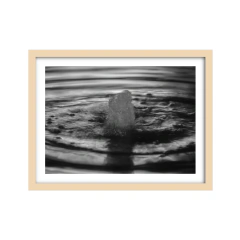 La Fuente - I - Un Instante Fotografía 