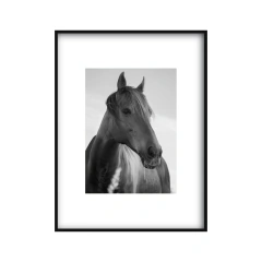 Imagen de Alma - II edición blanco y negro