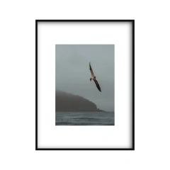 Imagen de Canto de Sirenas - I