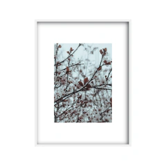 Brote - 03 - tienda online