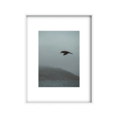 Canto de Sirenas - II - tienda online