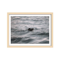 A la espera - edición azul - Un Instante Fotografía 