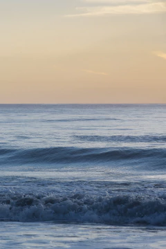 SET CALMA en internet