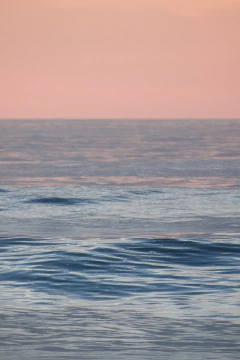 SET REPOSO en internet