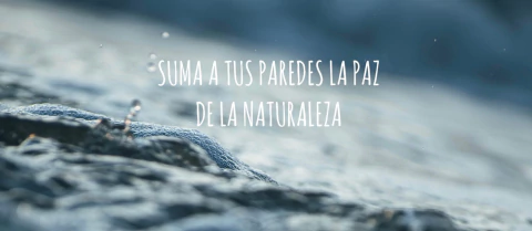 Carrusel Un Instante Fotografía 