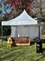 GAZEBOS