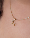 Cadena Perrito - comprar online